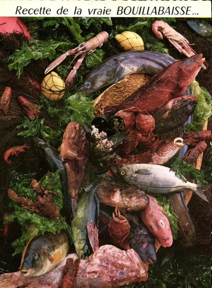 Ricetta della vera BOUILLABAISSE — Edizioni LYNÁ — Ricetta N° 1 - Recto