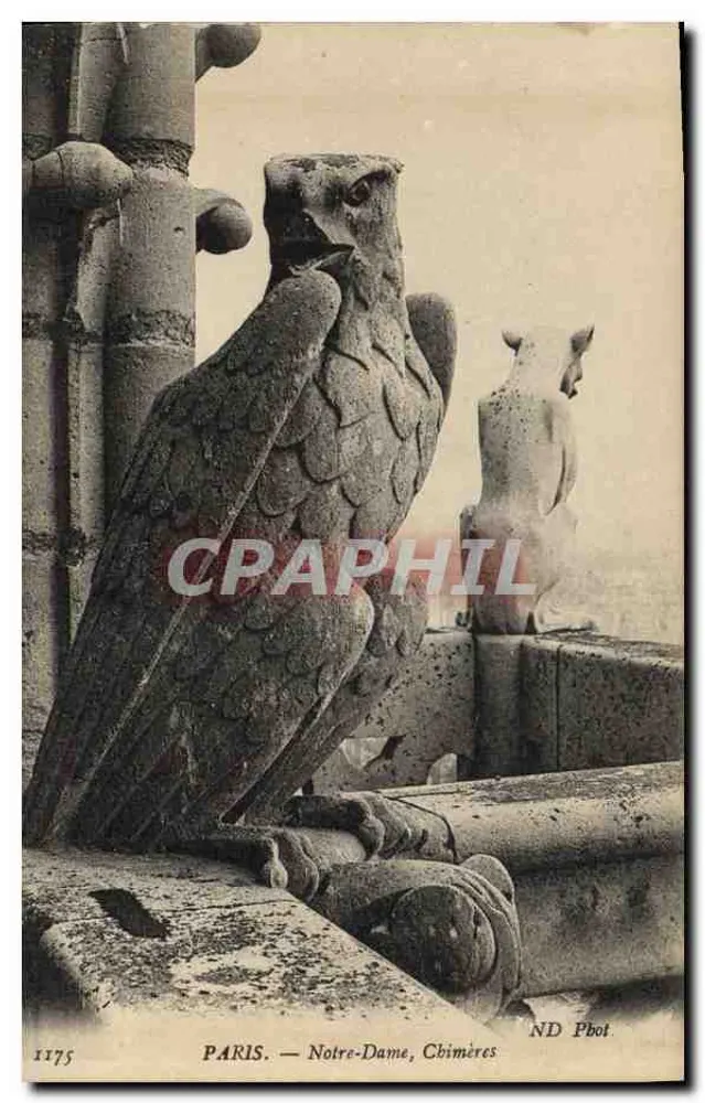 PARIS — Notre-Dame, Chimères — ND Phot. - Frente