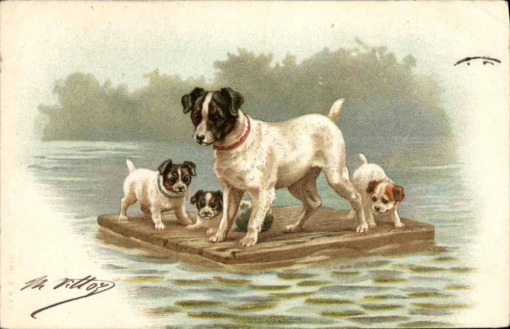 Cão e filhotes em uma prancha — ilustração de Ma Vittor — editor A.S.M.B. N°56 - Frente
