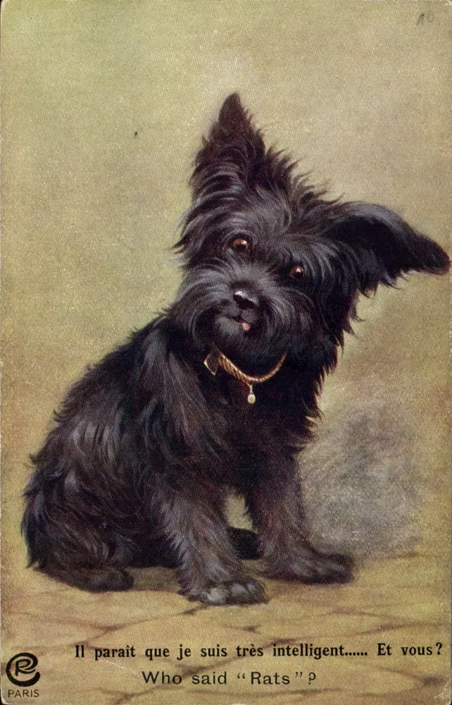 Cachorro preto — brincadeira com 'Ratos' — editor Paris, n° 10 - Frente
