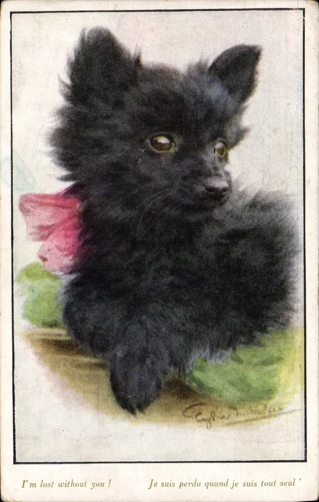 Cachorro preto — Estou perdido quando estou sozinho — Artétique, No. 4001 - Frente