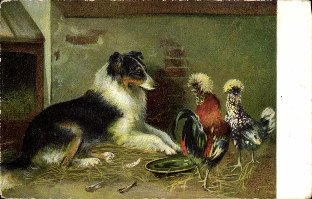Cão e galinhas em uma granja — editor Chaikorit, n° 347 - Frente