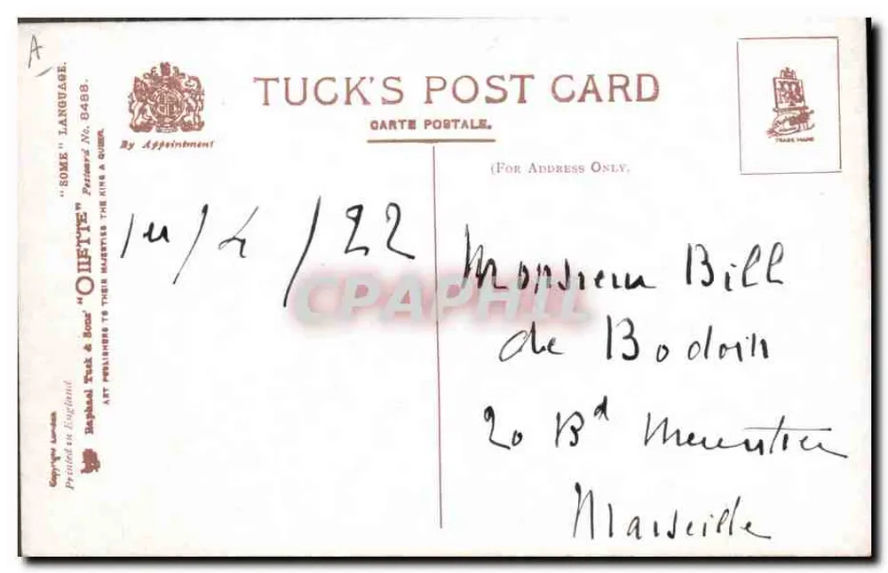 Gato preto e cachorro em prancha de rolimã — Tuck's Post Card n° 8488 - Verso