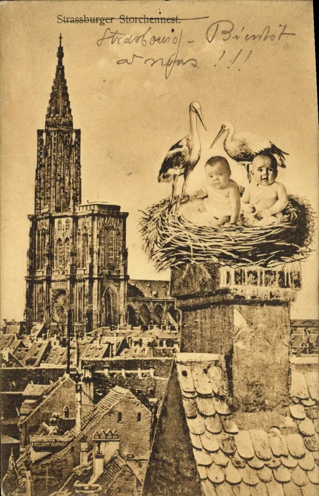 Ninho de Corujas de Strassburg — Strasbourg — Kunstdruckerei Straßburg - Frente
