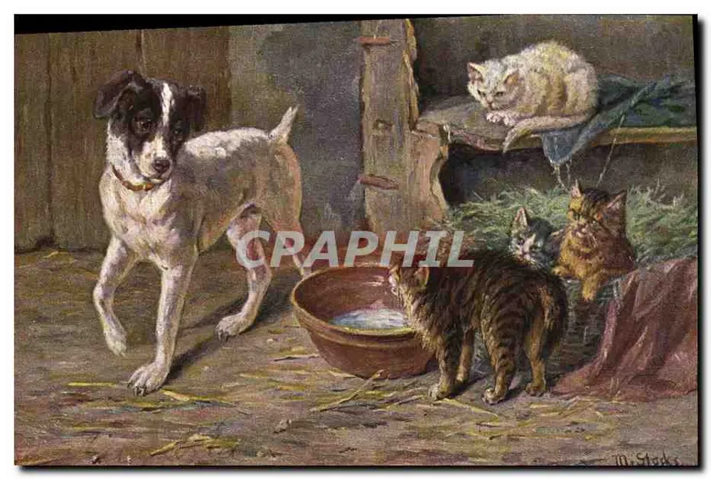 Cachorro e gatos em uma estábulo — pintura de M. Stocks — editor R. & B., série 1900 - Frente