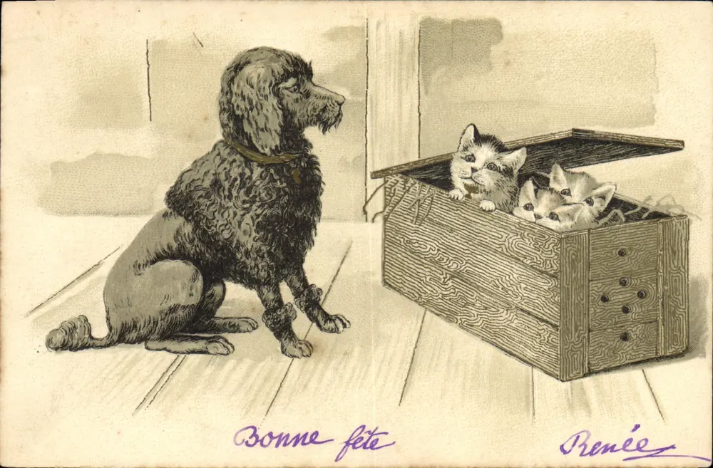 Cachorro e gatinhos — Boa festa — Renée - Frente