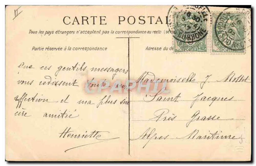 Filhotes de border collie — em um cesto — desenho de Maud Scrivener - Verso