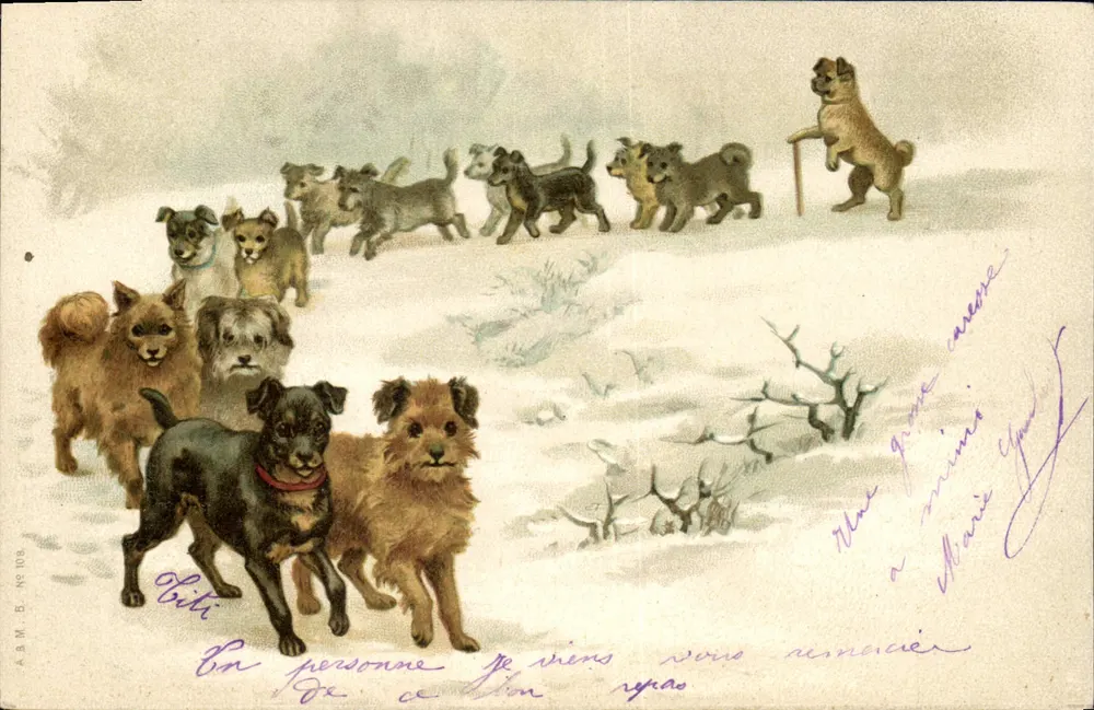 Cães na neve — A.B.M. B. N° 108 - Frente