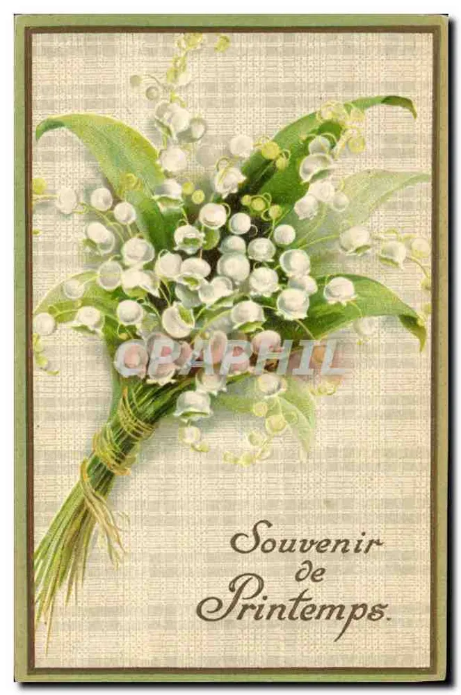 Lilienstrauß — Erinnerung an den Frühling — AD Ser. 783 - Vorderseite