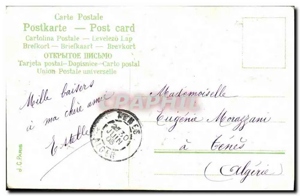 Violeta em vaso — 'Pequenas flores, falem por mim' — J.C. Paris - Verso