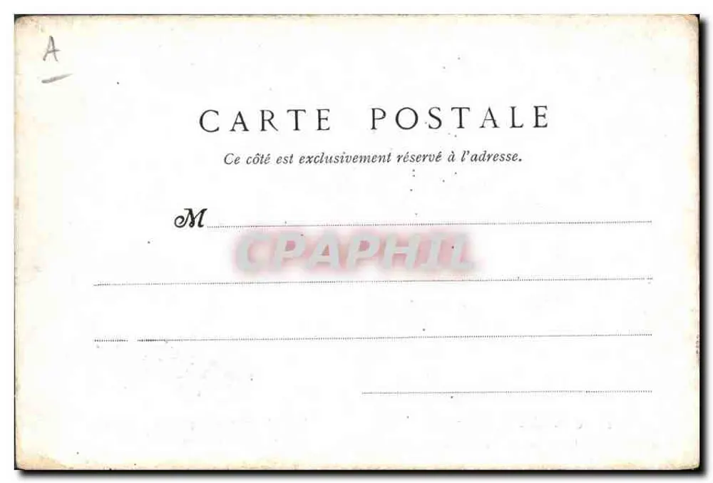 Water-Spaniel — Englischer Wasserhund — Illustrationen aus der Zeitschrift 'L'ACCLIMATATION', 46, Rue du Bac, Paris. - Rückseite
