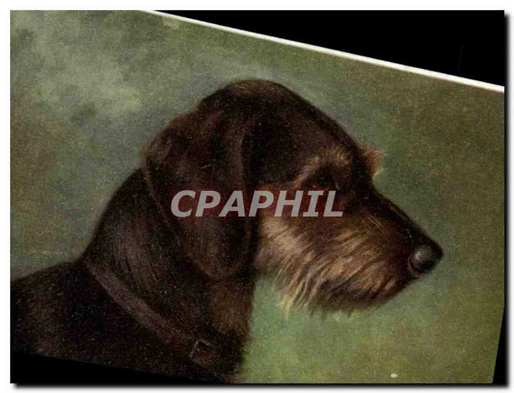 Cão de caça — retrato — editor M. F. LOTTING, Paris - Frente