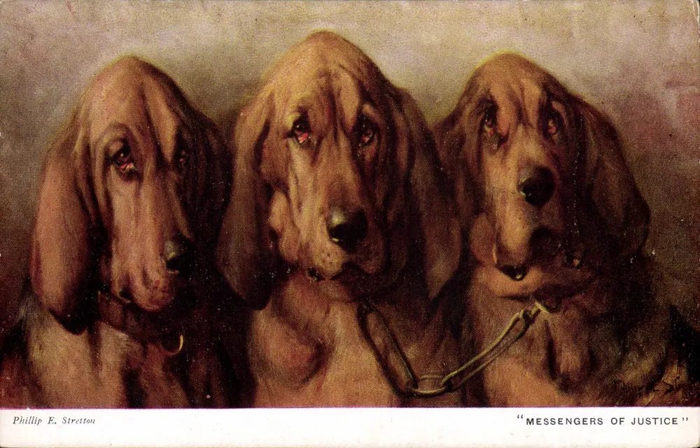 Drei Jagdhunde — 'Botschafter der Gerechtigkeit' — Phillip E. Stretton - Vorderseite