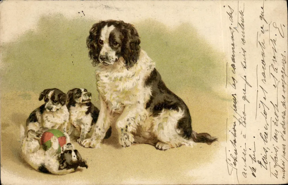 Cão adulto e filhotes — ilustração — editor não identificado - Frente