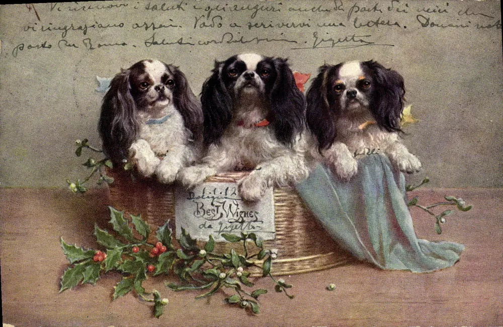 Trzy psy rasy Cavalier King Charles — wydanie Best Wihener — dekor z liści buku - Awers