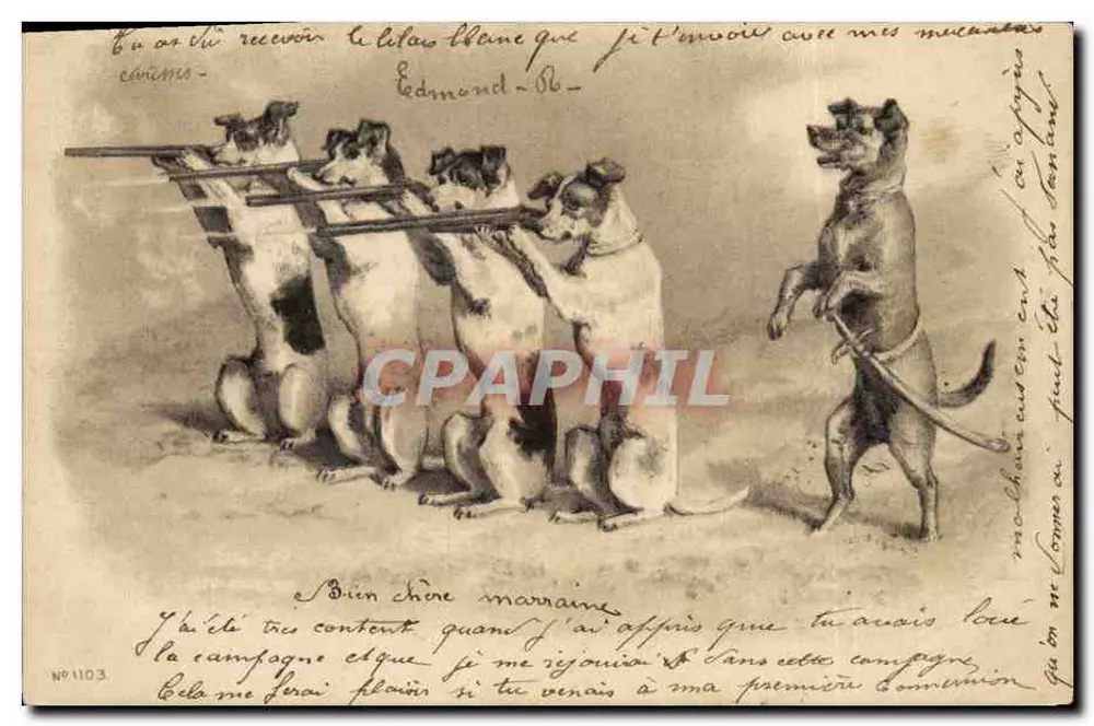 Cães em traje de caçadores — editor anônimo, n° 1103 - Frente