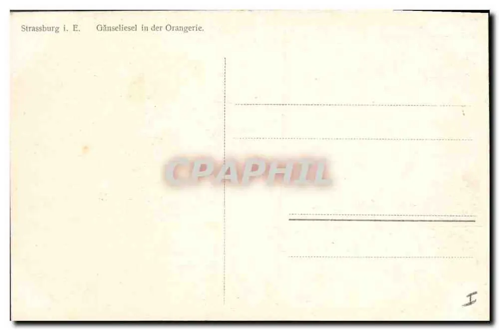 Gänselesel nell'Orangerie — Strasbourg i. E. — editore non visibile - Verso