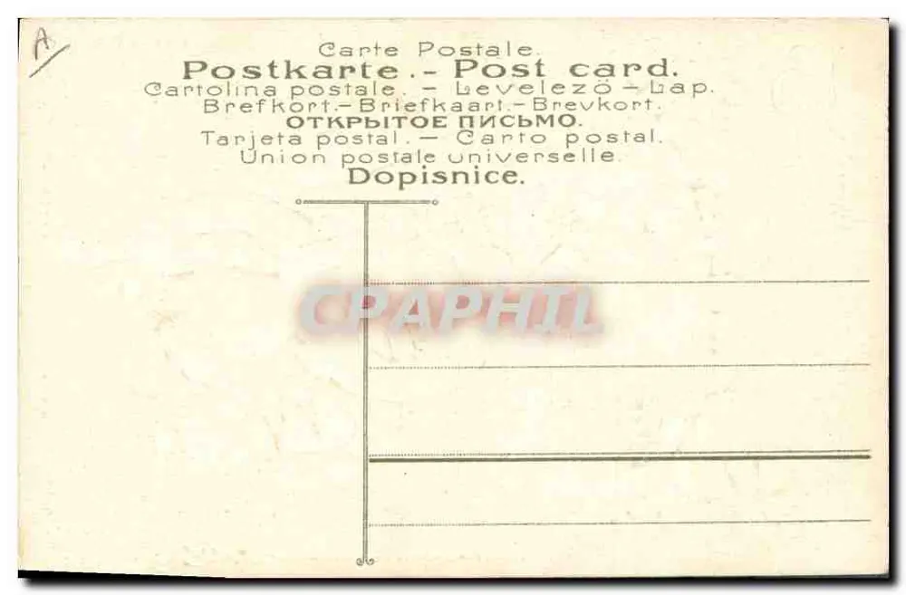 Criança em um cesto de vime — violetas e trevo — editor desconhecido, n° 464 - Verso
