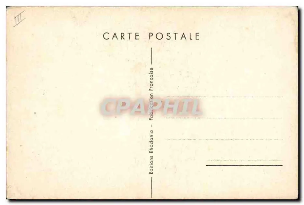 Dois cães — com buquê de tulipas e mimosa — desenho de Bernelet - Verso