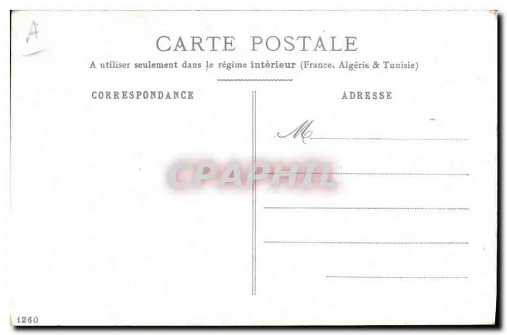 Cães e gato — cena animal — carta postal n°1260 - Verso
