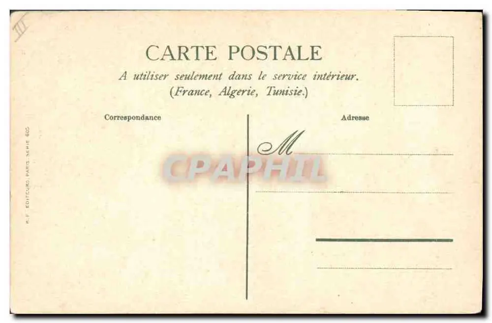 Chien — portrait — éditeur R.F. Éditeur Paris N° 300 - Rewers