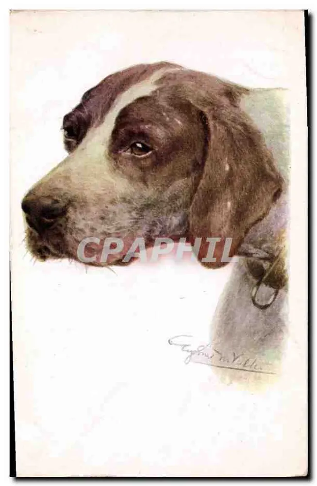 Cão de caça — retrato — Florence House, Barnes, Londres, n° 2508 - Frente