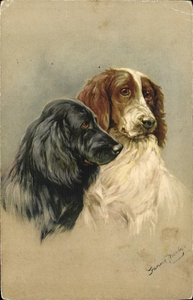 Dois cães — retrato — Fannie Proddy, n°105 - Frente