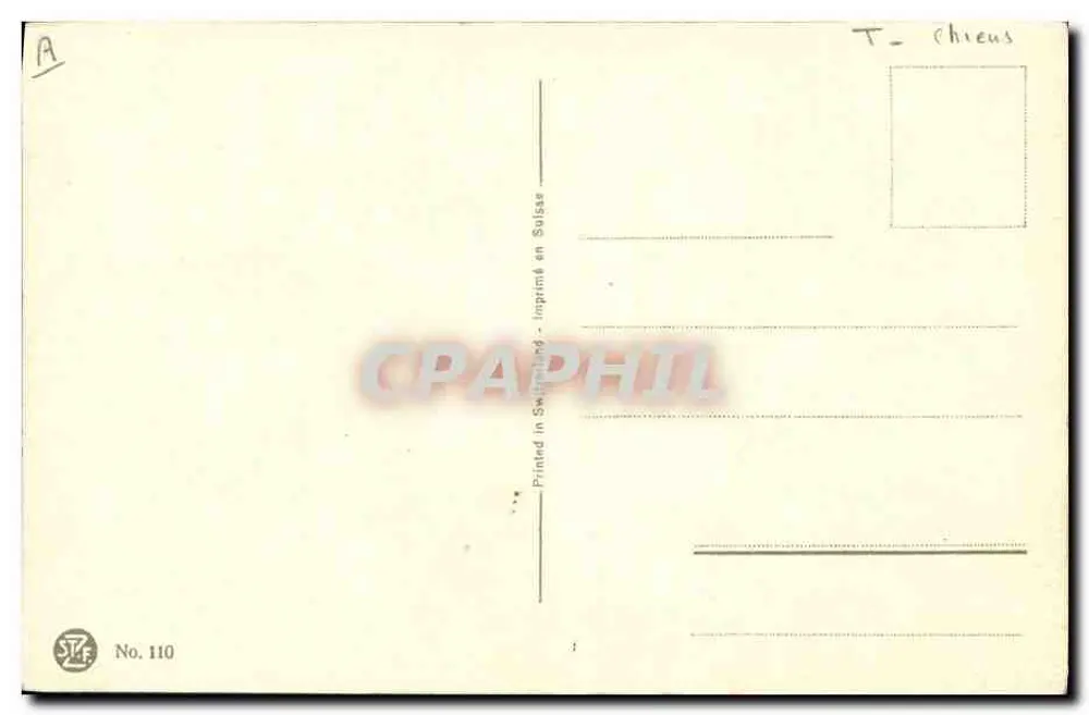 Retrato de cão alemão — obra de Wardis — editor STZF, n° 110 - Verso