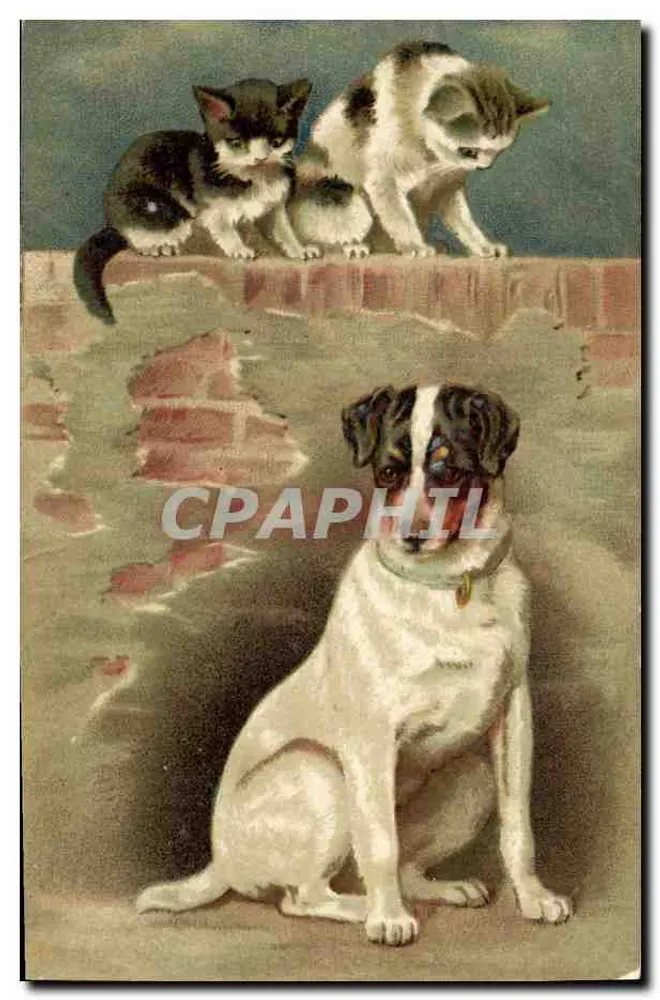 Cachorro e dois filhotes de gato — cena animal — editor não identificado, n° 104 - Frente