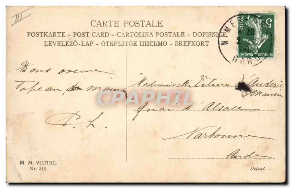 Pieski i kot — scena zwierzęca — M. M. Wiedeń, n° 318 - Rewers