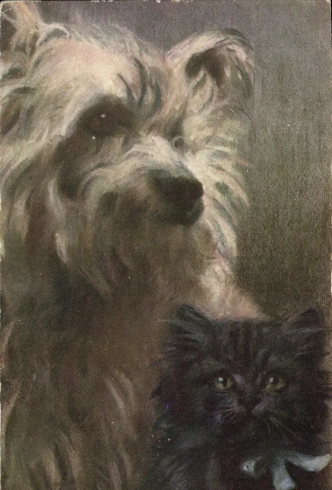 Pies i kot — ilustracja — Tuck's Post Card nr 9462 - Awers