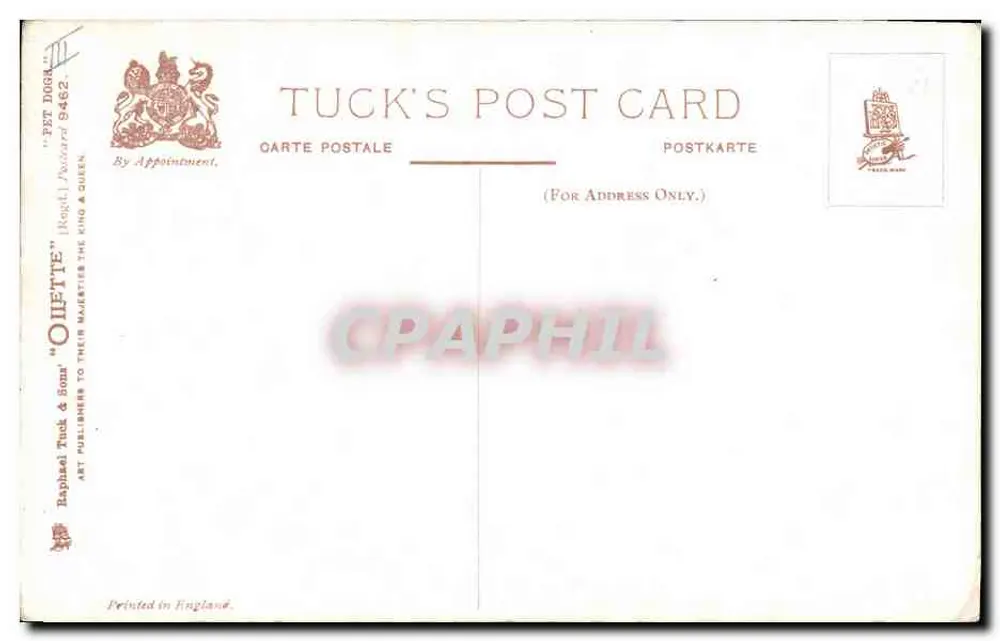Pies i kot — ilustracja — Tuck's Post Card nr 9462 - Rewers