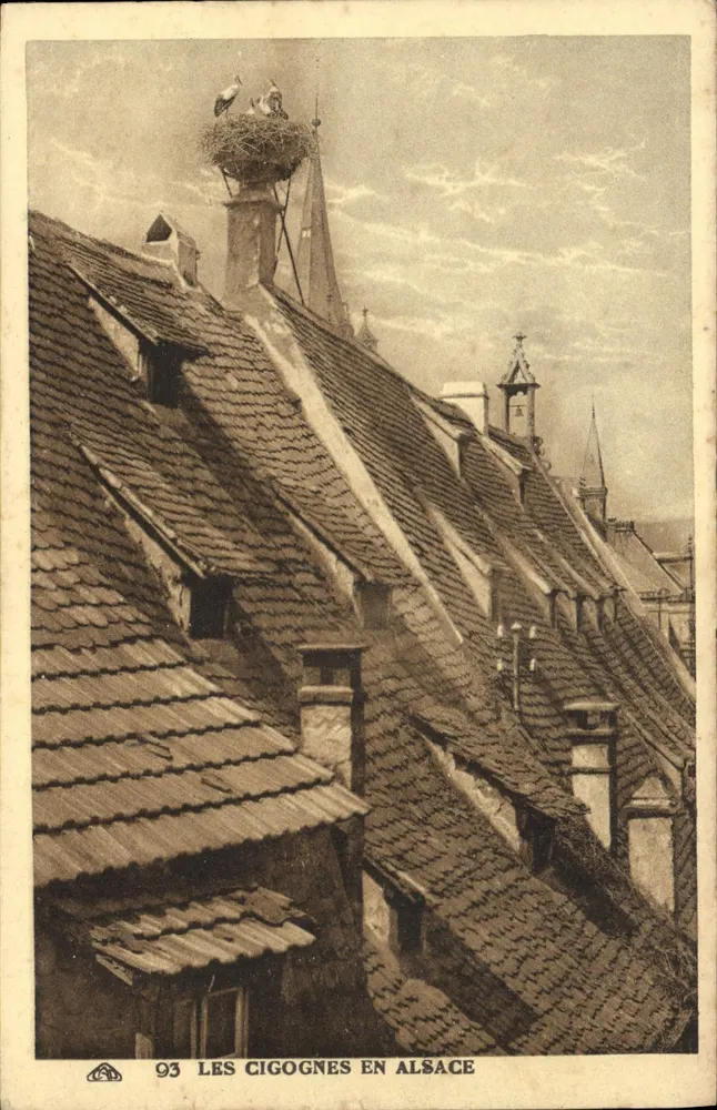 As cegonhas na Alsácia — 93 — editor Cie Alsacienne des Arts Photomécaniques, Strasbourg - Frente
