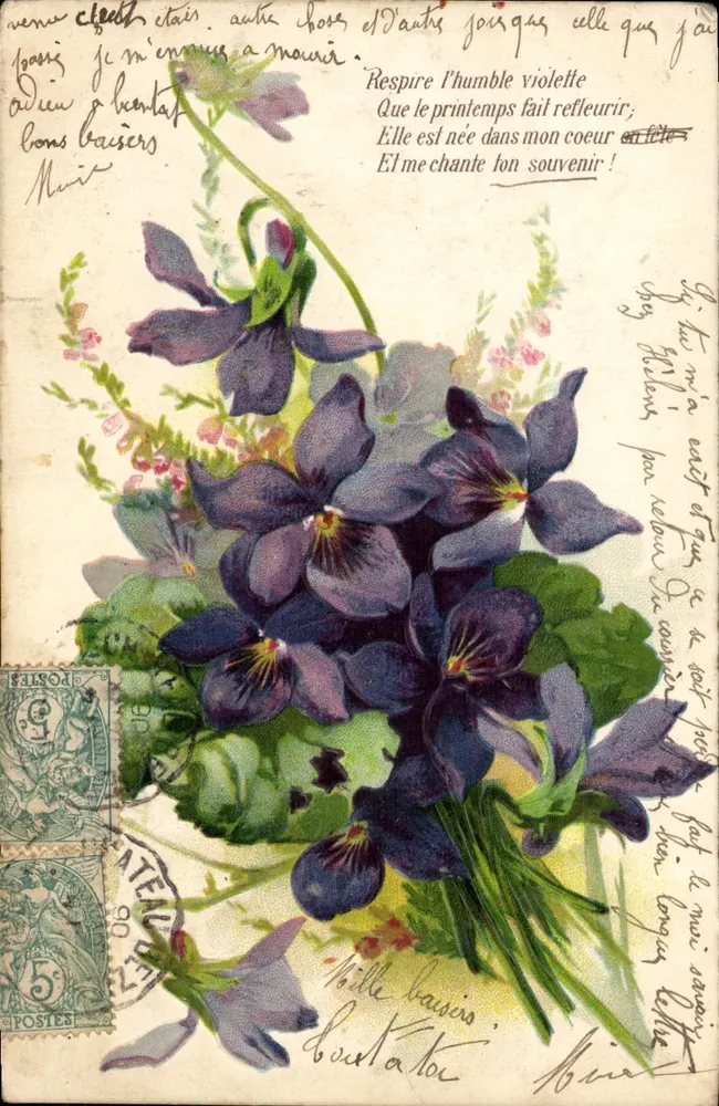 Violetas — poema e mensagem — editor não visível - Frente