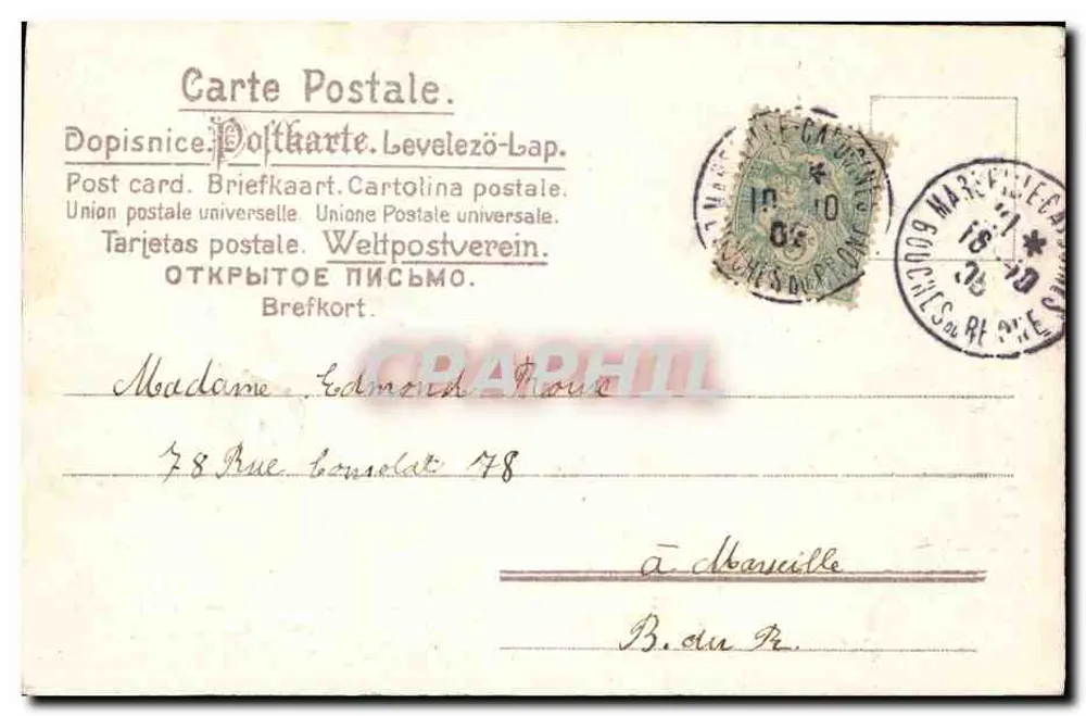 Flores e pássaro — Boa & Feliz Festa — Carta postal multilingue - Verso