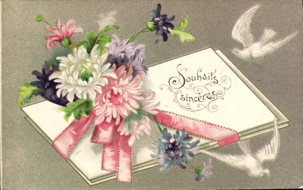 Mazzo di fiori e colomba — Auguri sinceri — Cartolina multilingue - Recto