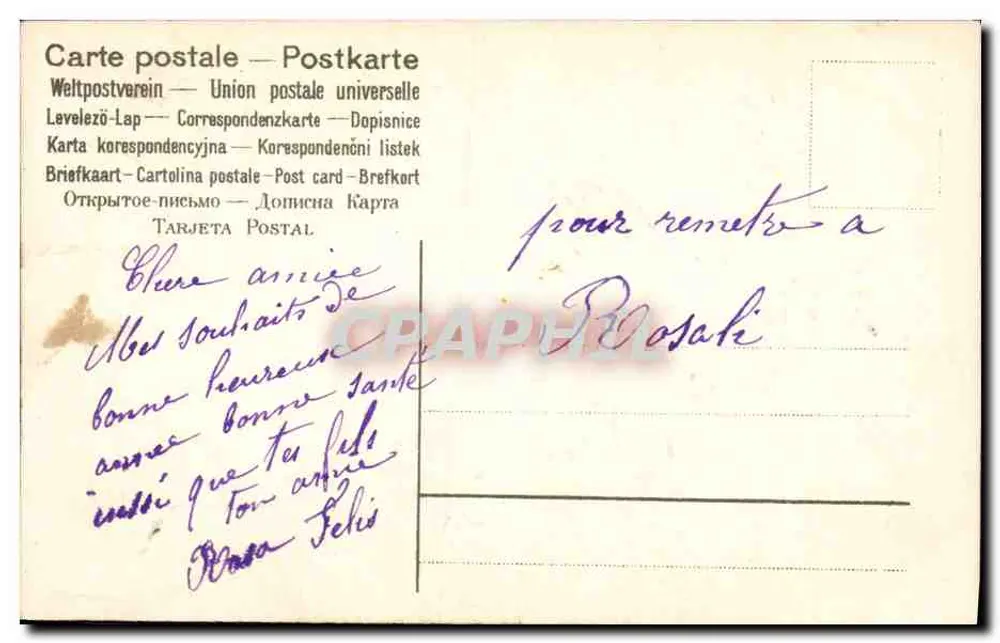 Mazzo di fiori e colomba — Auguri sinceri — Cartolina multilingue - Verso