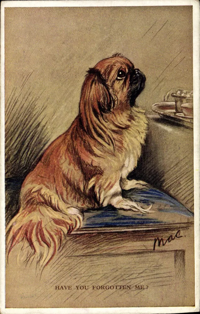 Cachorro — 'HAVE YOU FORGOTTEN ME?' — Mac, editor Valentine's Postcards - Frente