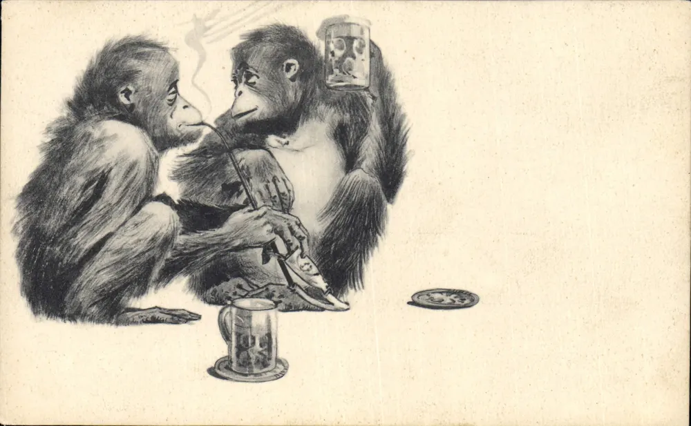 Dois macacos bebendo — ilustração humorística — editor não visível - Frente