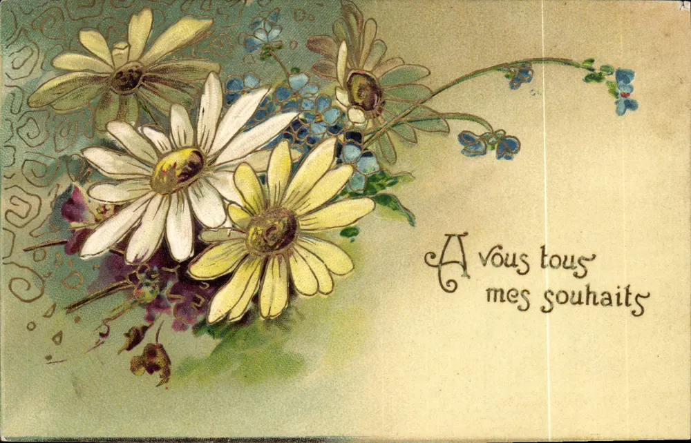 Flores — buquê de margaridas e lavanda — carte postale - Frente