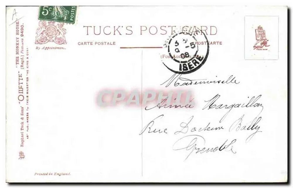 Gruppe Affen — 'Great Expectations' — Tuck's Post Card - Rückseite
