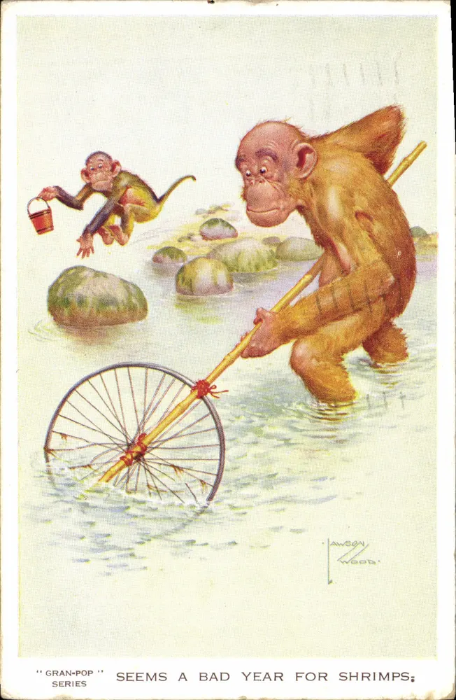 Singe et roue à pédales — 'Gran-Pop' semble une mauvaise année pour les crevettes — éditeur 'Gran-Pop' série, dessin de Dawson Wood - Recto