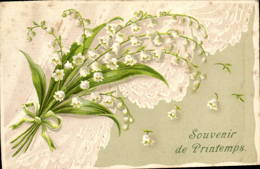 Bouquet de lirios — Recuerdo de Primavera — Unión Postal Universal - Anverso