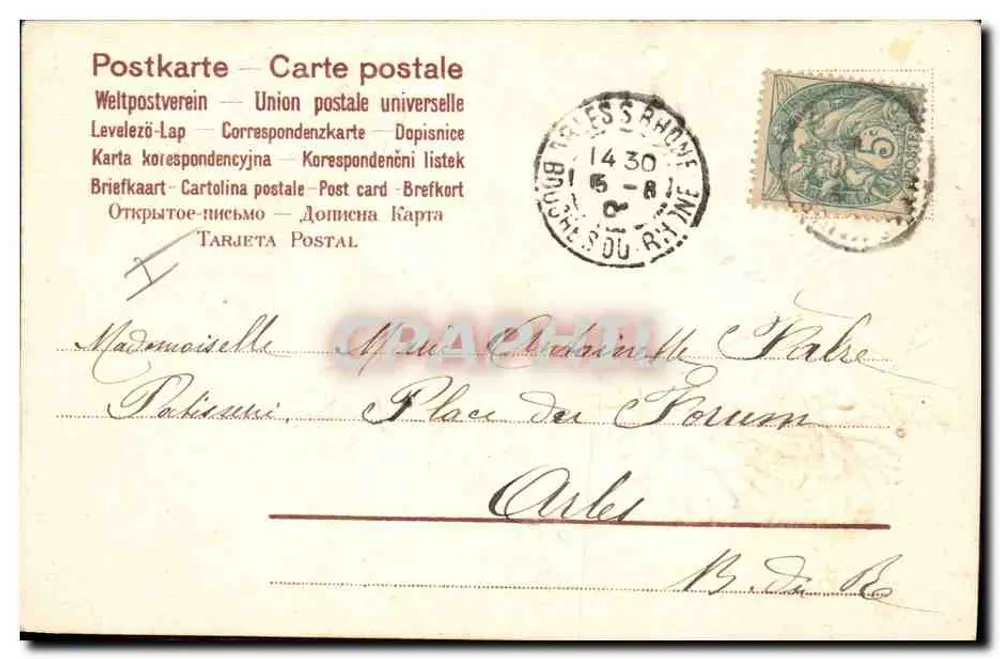 Arranjo de crisântemos — Boa Festa — editor não identificado - Verso