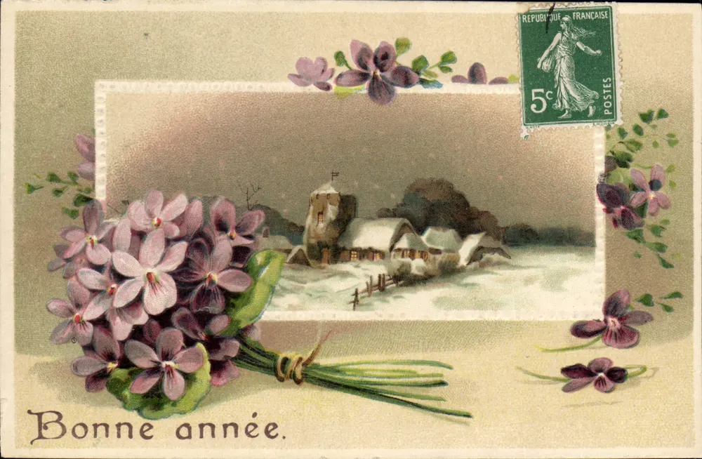 Arranjo de violetas — cena invernal com aldeia nevada — editor não visível - Frente