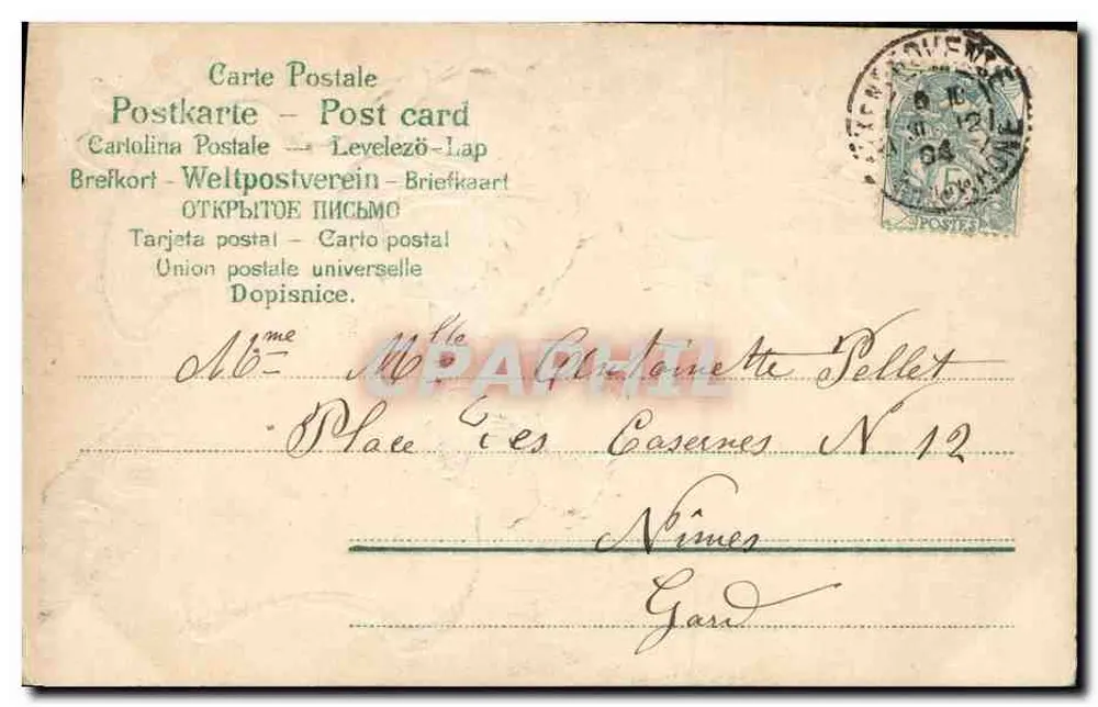 Flores — Carta de vœux para o ano de 1904 — editor desconhecido, n° 2061 - Verso