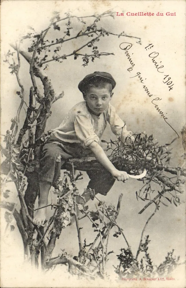 Kind in einem Baum — Die Ernte des Mistelstrauches — Phototypie A. Bergeret & Cie, Nancy - Vorderseite