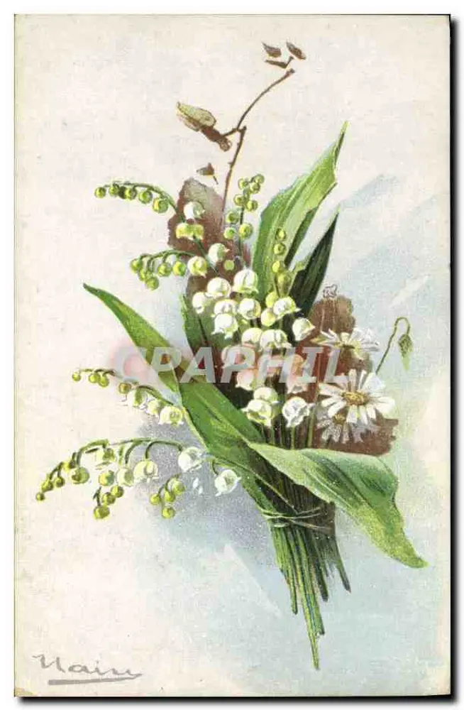 Bouquet aus Schneeglöckchen und Margeriten — Zeichnung signiert 'Mainu' — unbekannter Verleger - Vorderseite