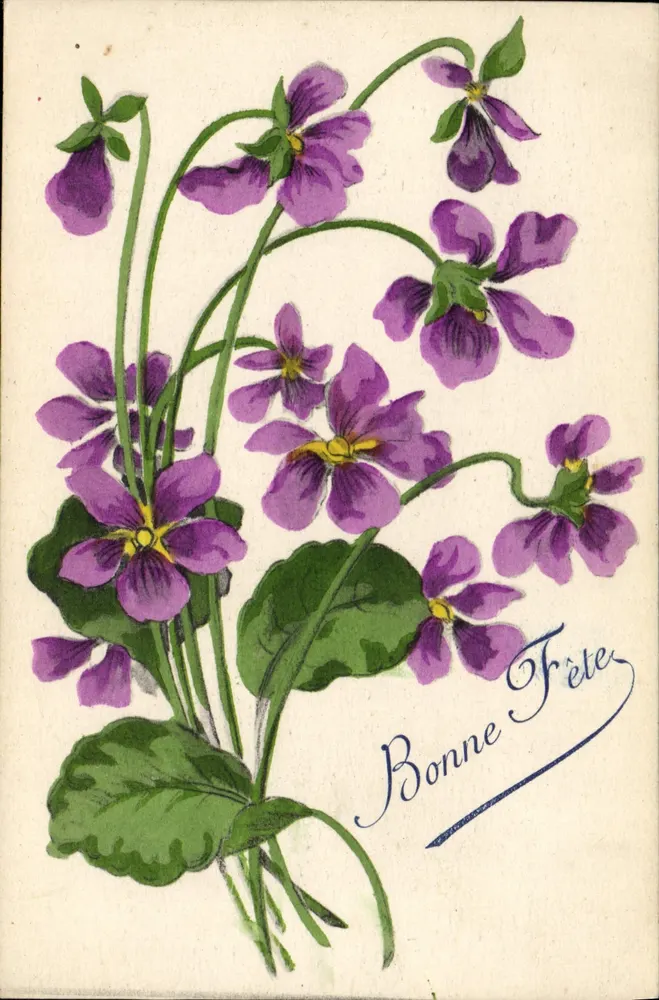 Violetas — Boa Festa — H. Hanet, Imp. Edit. Paris - Frente