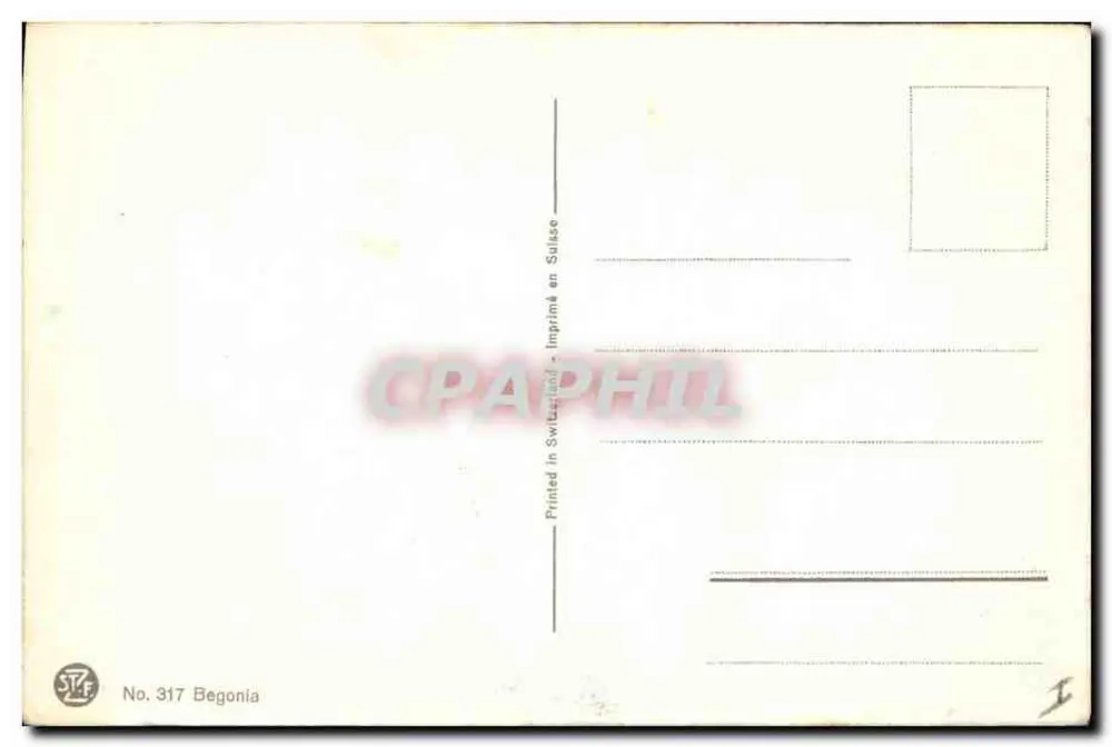 Begônia — flor vermelha — No. 317 - Verso